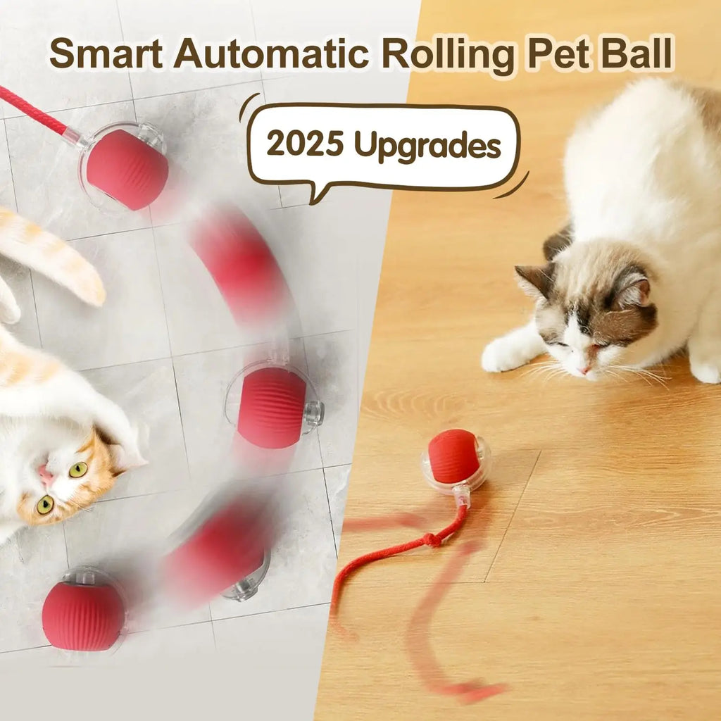 SmartTail Cat Ball