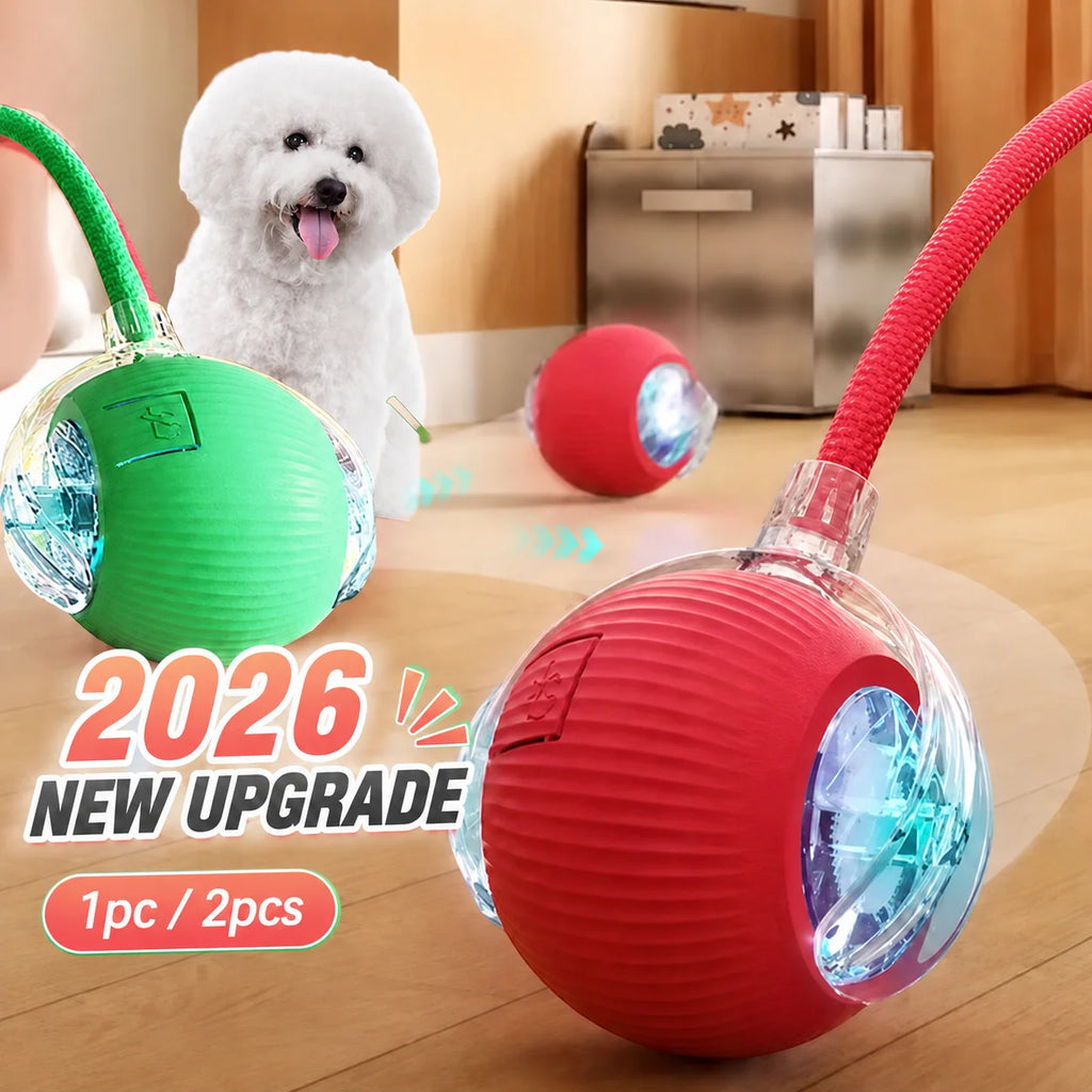 SmartRoll Dog Ball