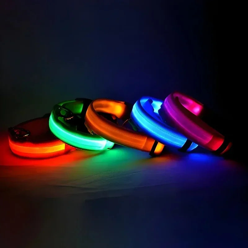 GlowTrack LED Collar