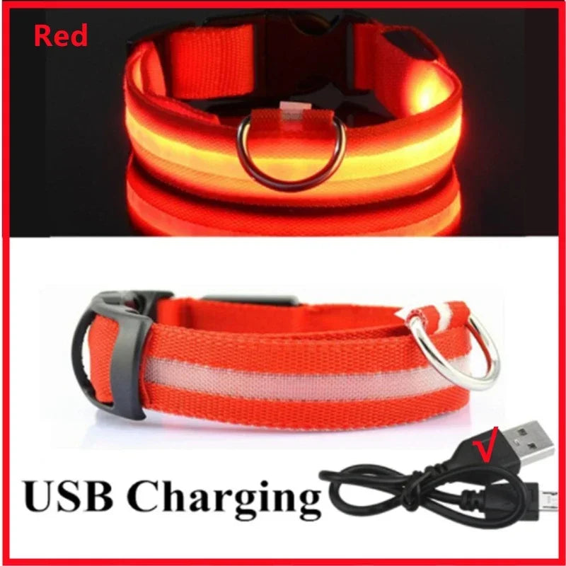 GlowSafe LED Collar