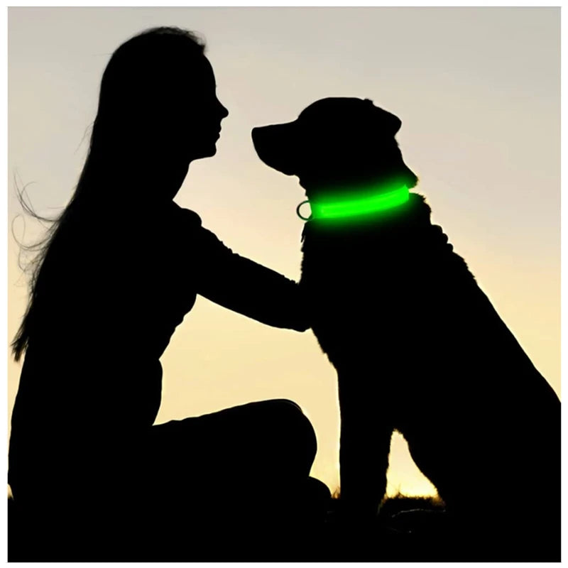 GlowSafe LED Collar