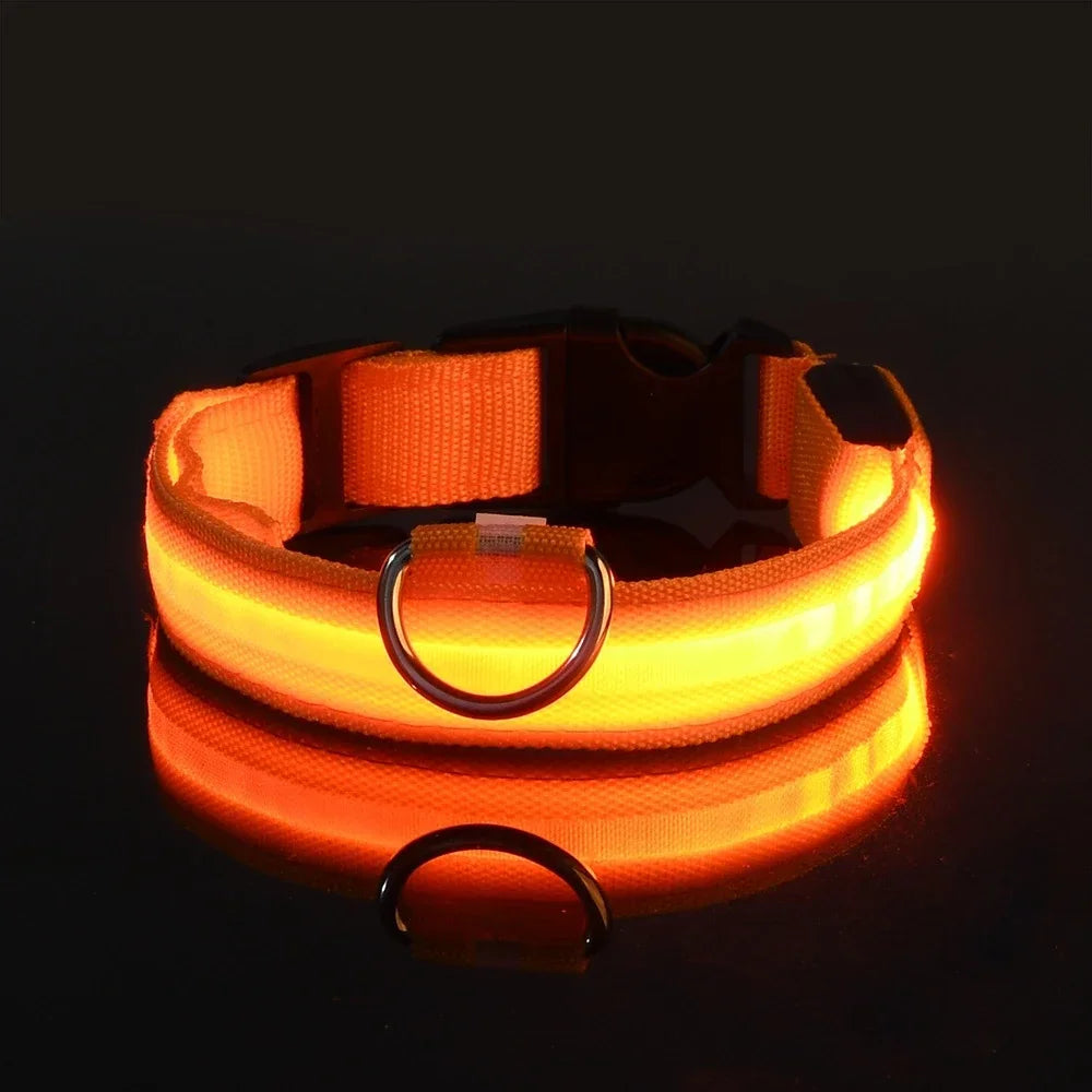 GlowTrack LED Collar