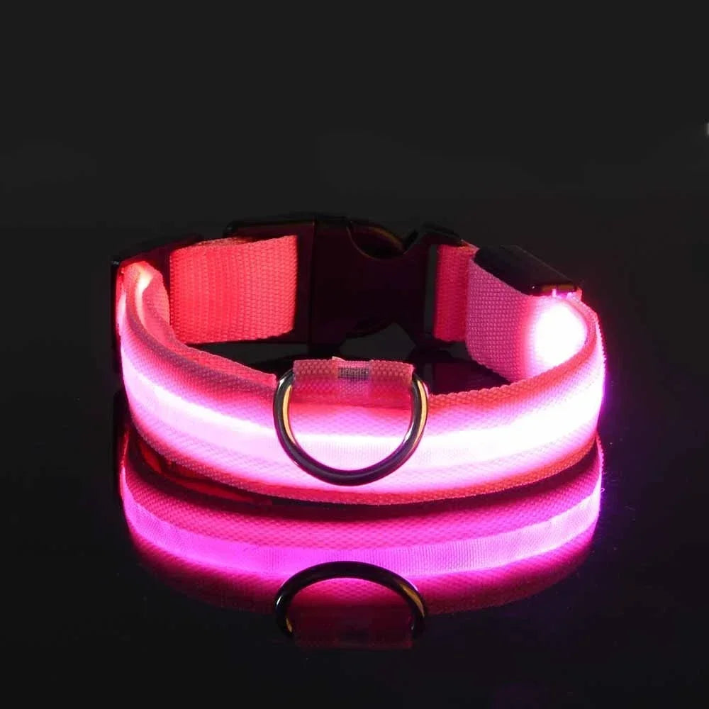 GlowTrack LED Collar