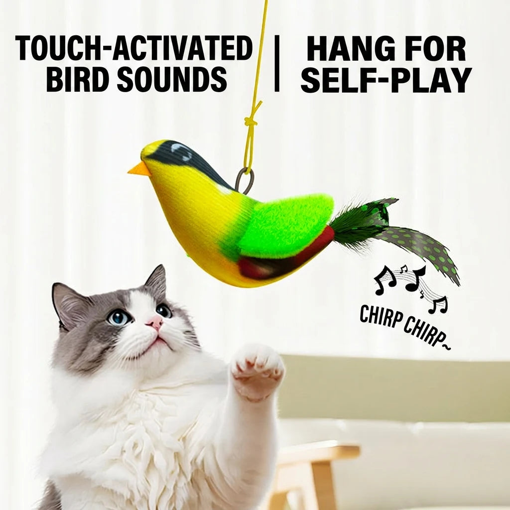 ChirpChase Bird Toy