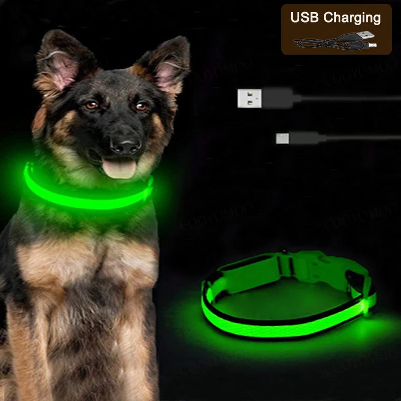 GlowSafe LED Collar