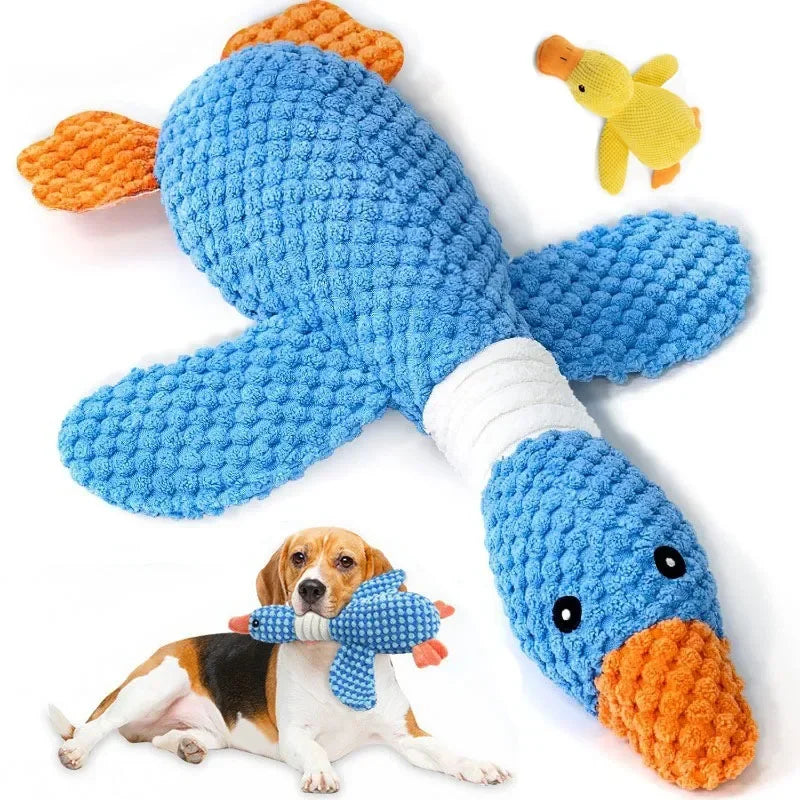 SqueakPlay Pet Toy