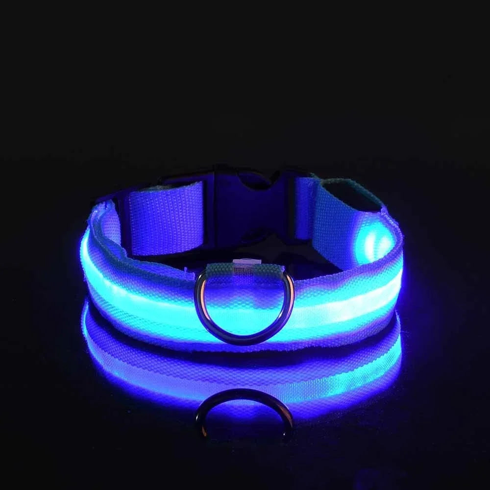 GlowTrack LED Collar