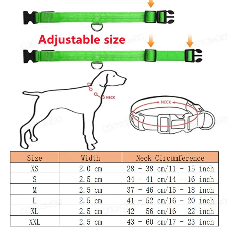 GlowSafe LED Collar
