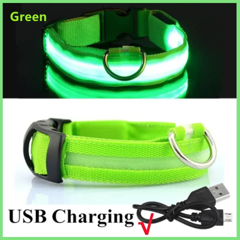 GlowSafe LED Collar