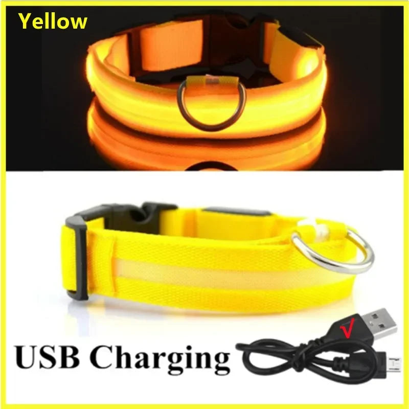 GlowSafe LED Collar