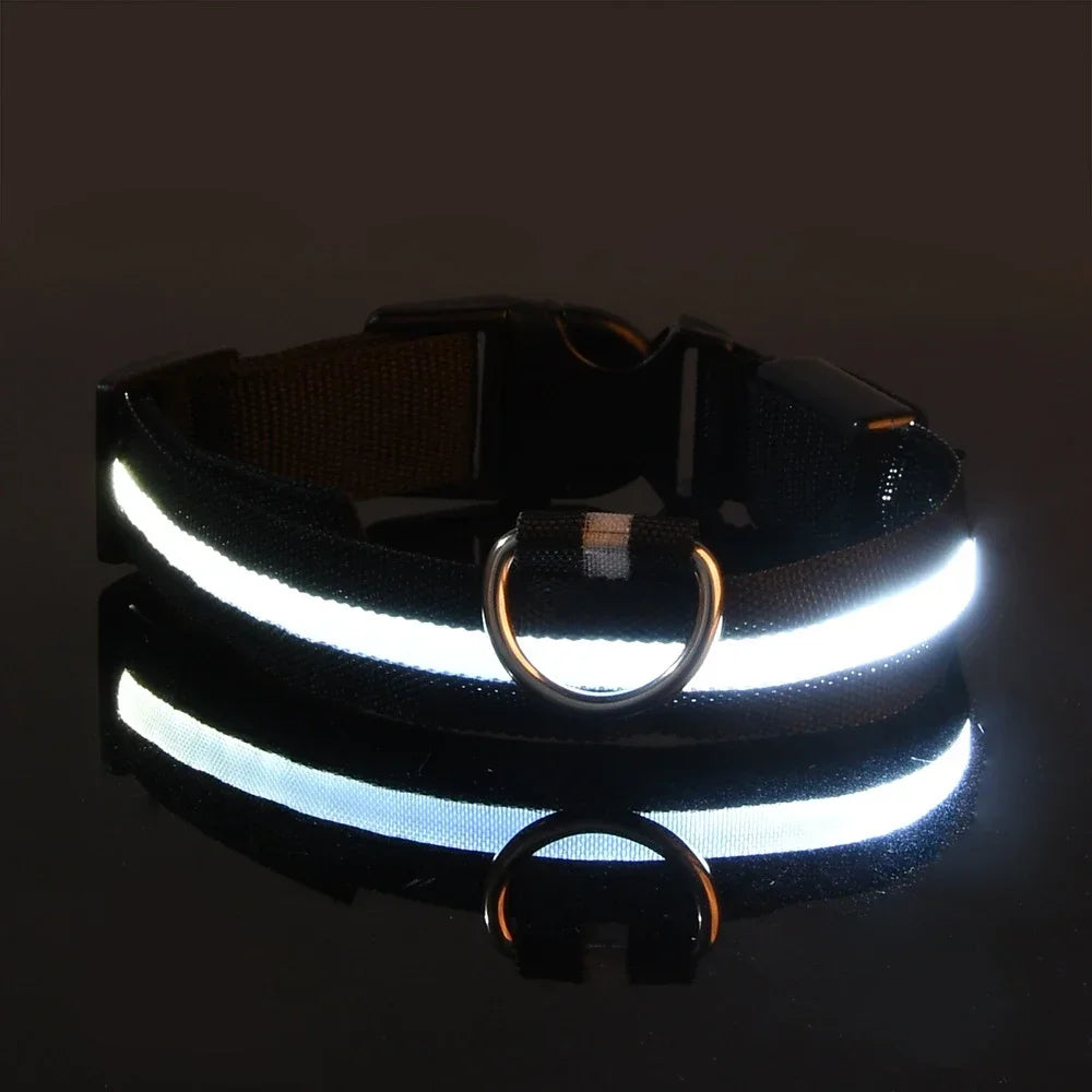 GlowTrack LED Collar