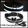 GlowSafe LED Collar