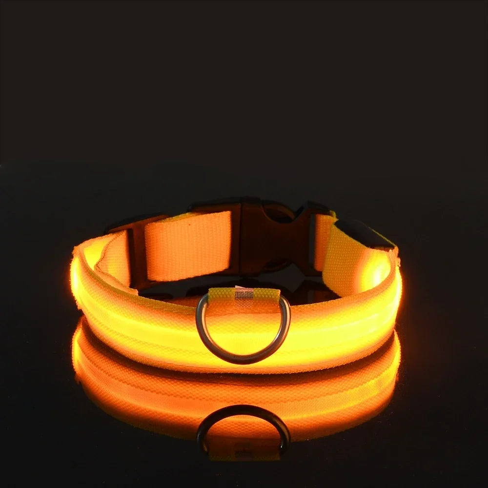 GlowTrack LED Collar