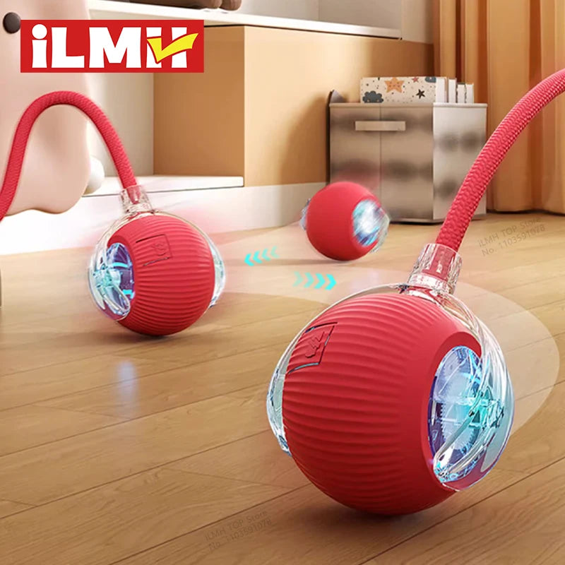 SmartTail Cat Ball