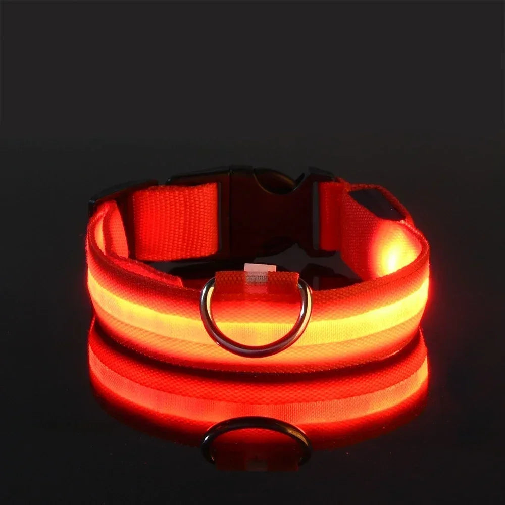 GlowTrack LED Collar