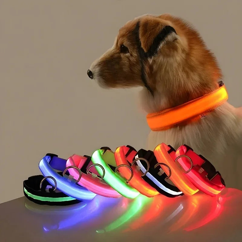 GlowTrack LED Collar