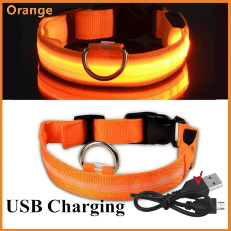 GlowSafe LED Collar