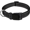 ComfortFit Dog Collar