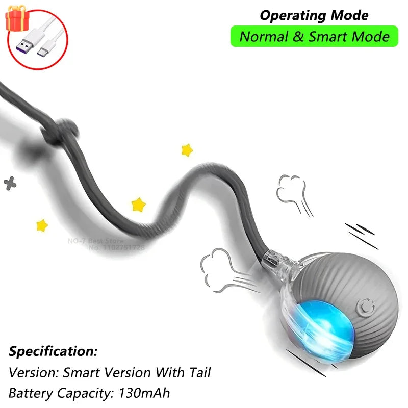 SmartTail Cat Ball