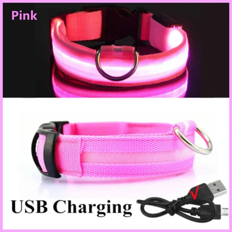 GlowSafe LED Collar