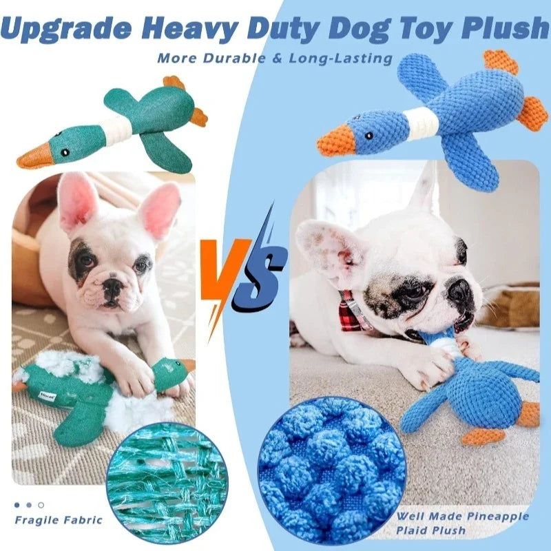 SqueakPlay Pet Toy