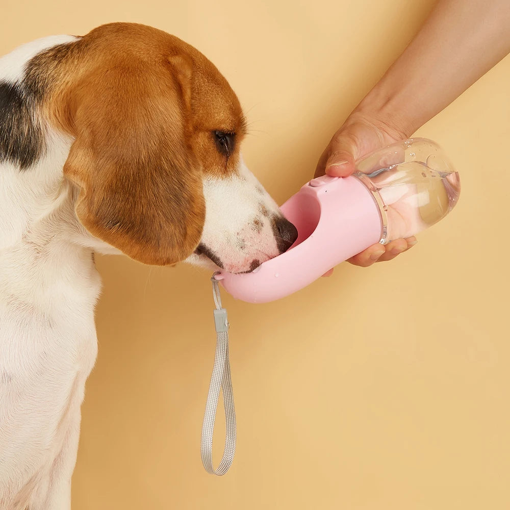 TravelSip Pet Bottle