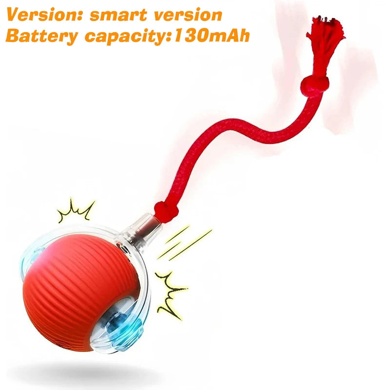 SmartRoll Dog Ball