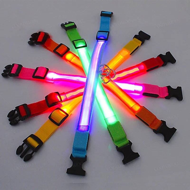 GlowSafe LED Collar