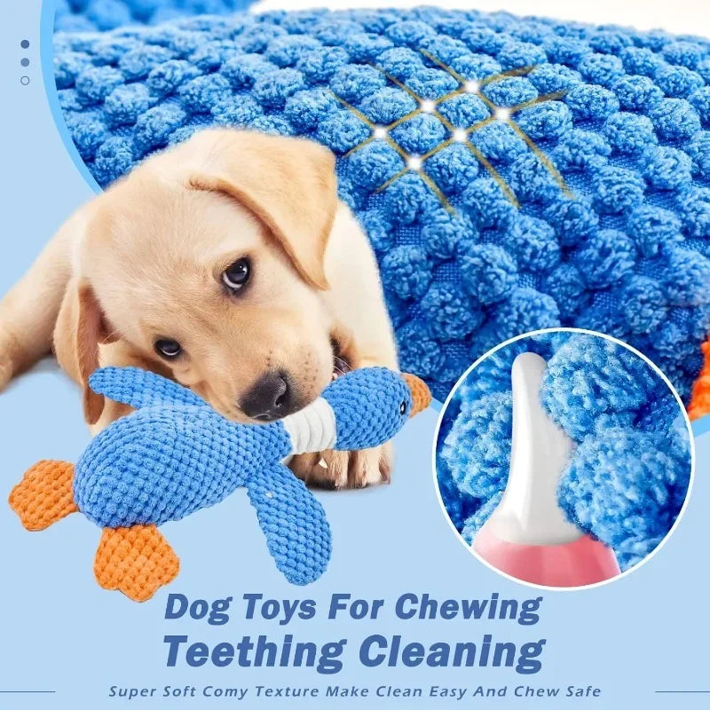 SqueakPlay Pet Toy