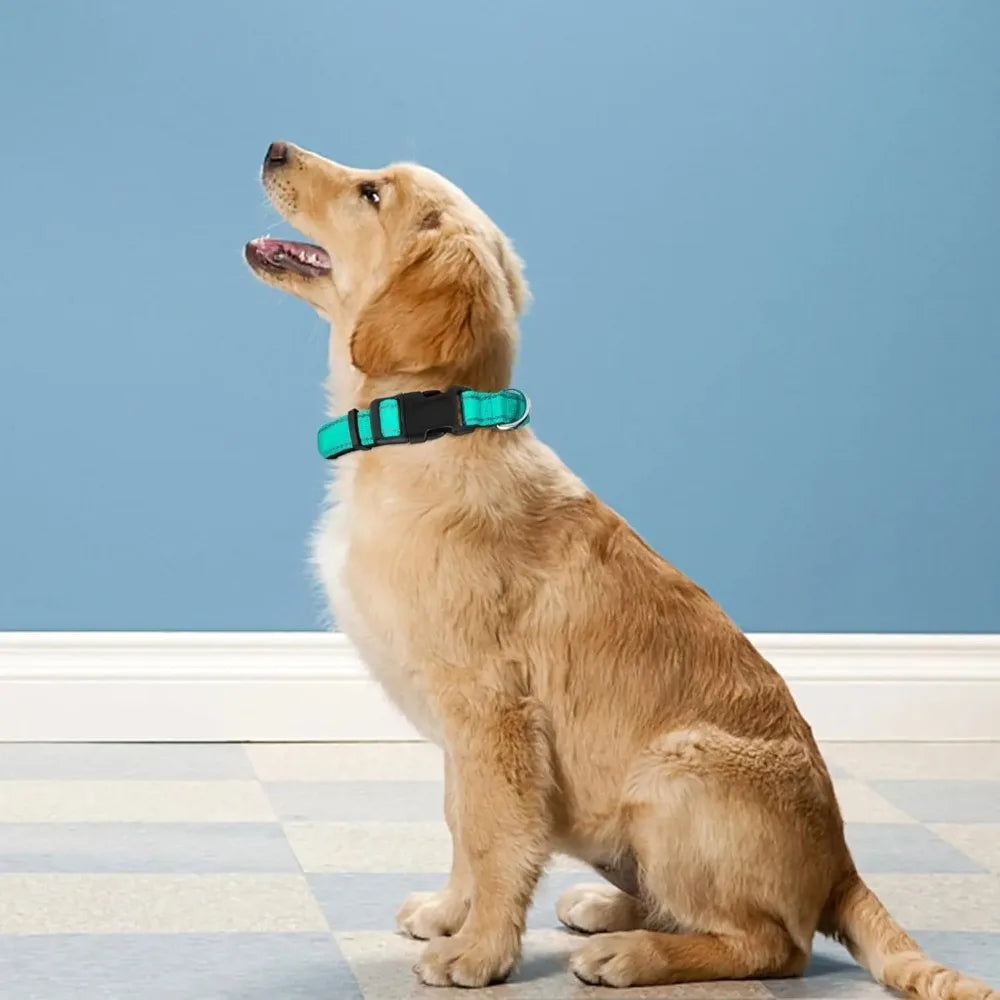 ComfortFit Dog Collar