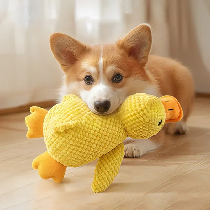 SqueakPlay Pet Toy