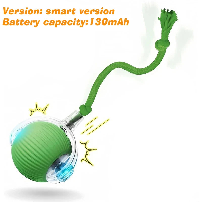 SmartRoll Dog Ball