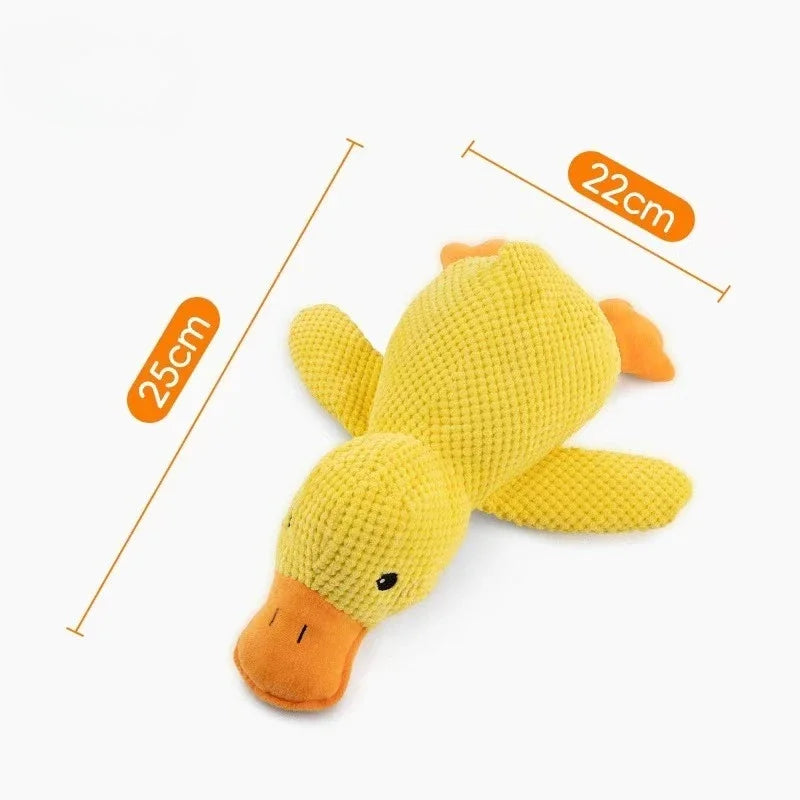 SqueakPlay Pet Toy