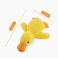SqueakPlay Pet Toy