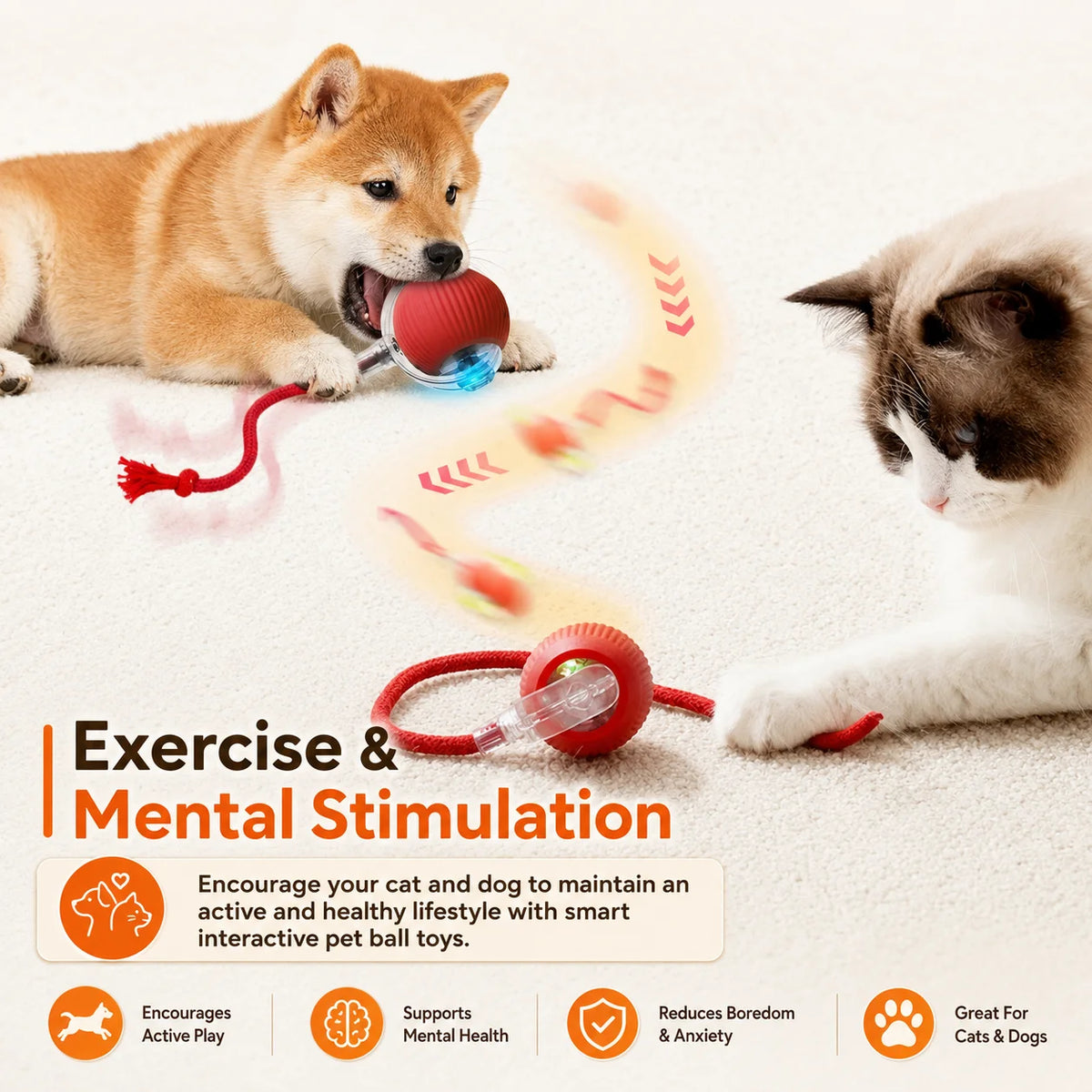 SmartRoll Dog Ball