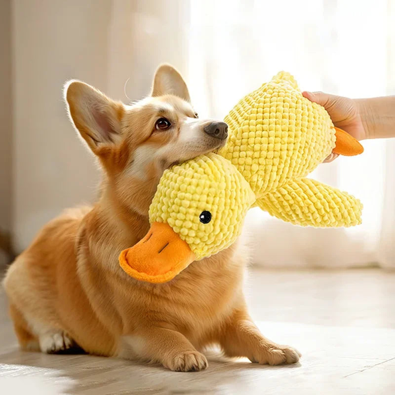 SqueakPlay Pet Toy