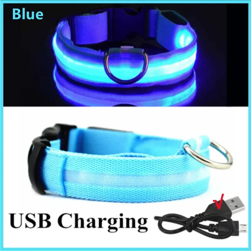 GlowSafe LED Collar