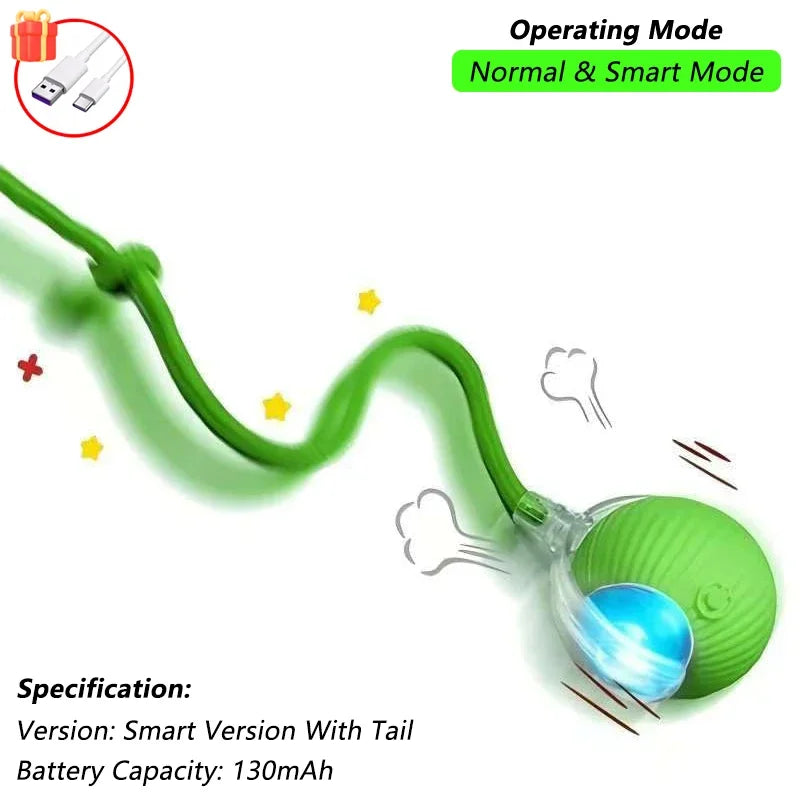 ChirpChase Bird Toy