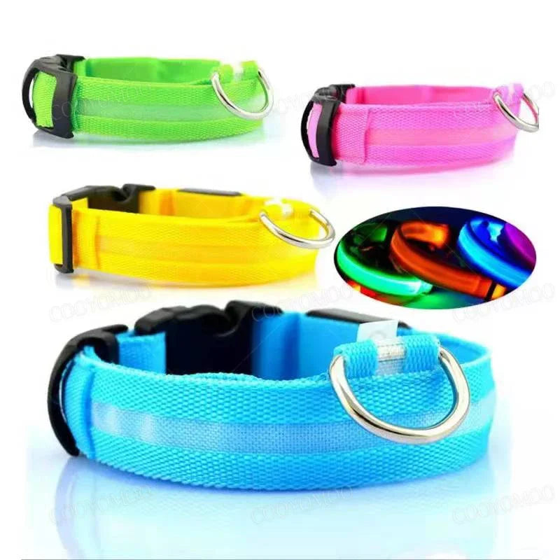 GlowSafe LED Collar